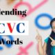 Blending cvc words first grade